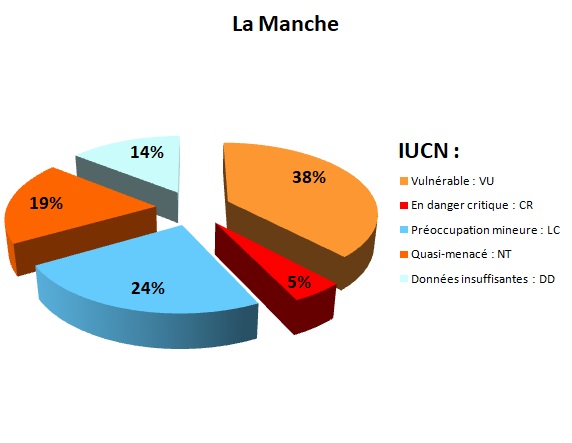 Statmanche